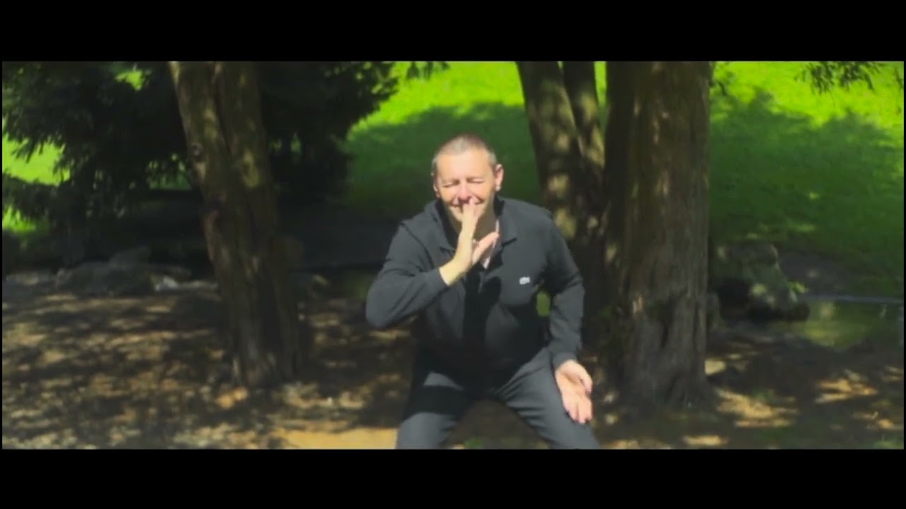 Patrick Burensteinas — Danse des Lettres